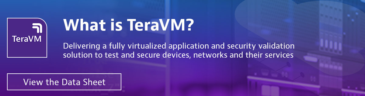 What is TeraVM?
