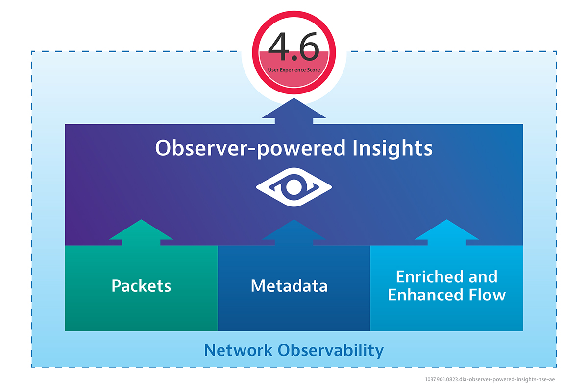 Nitro Insights Powered by Observer