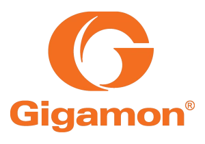 Gigamon Gigamon
