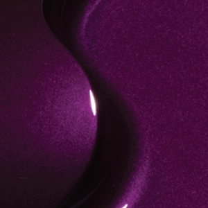 Color Trends - Omnivore - Elderberry Color Trends - Omnivore - Elderberry