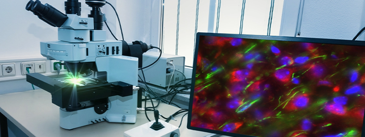 Optical Solutions for Fluorescence Imaging